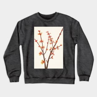 Red maple flowers - Botanical Illustration Crewneck Sweatshirt